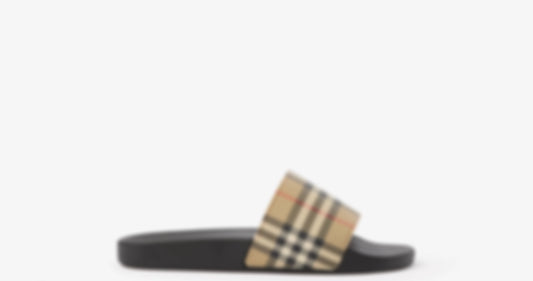 BUR SLIDES #777